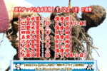 9月22日は何の日？｜お彼岸・里芋と縁起食【ビジネス雑学】