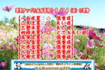 9月14日は何の日？｜春日局の命日とコスモスの日【ビジネス雑学】