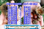 10月8日は何の日？｜松尾芭蕉の辞世の句に学ぶ旅の精神【ビジネス雑学】